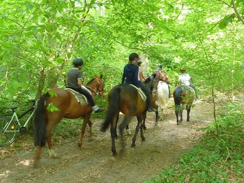 Balades à cheval à Chantilly