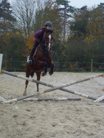 Balades à cheval à Chantilly