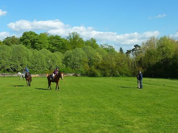 Balades à cheval à Chantilly