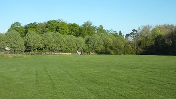 Balades à cheval à Chantilly