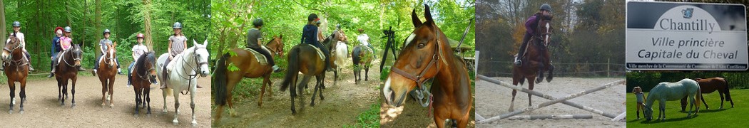 Balades à cheval à Chantilly