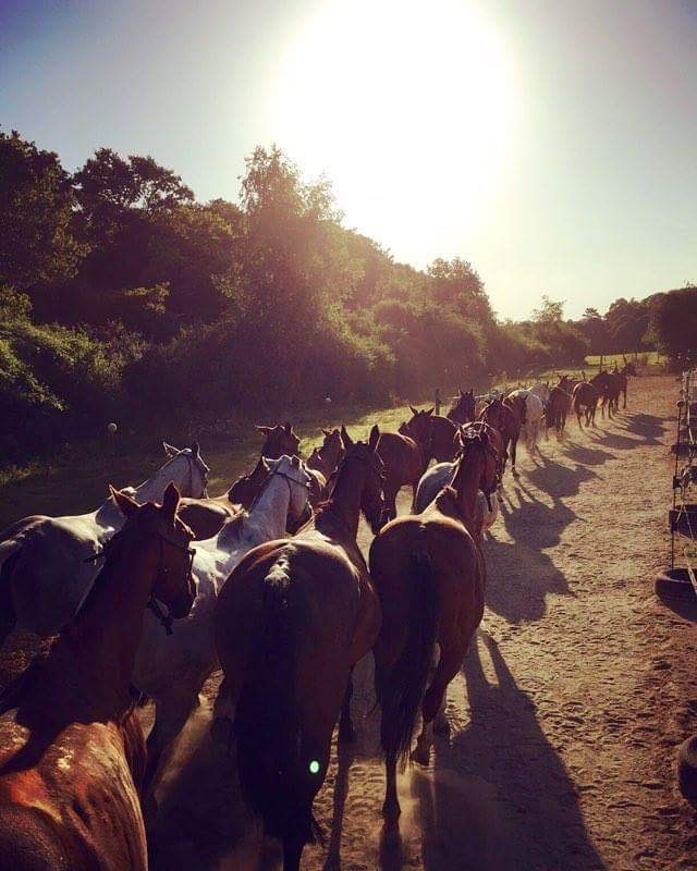 Balades à cheval à Chantilly