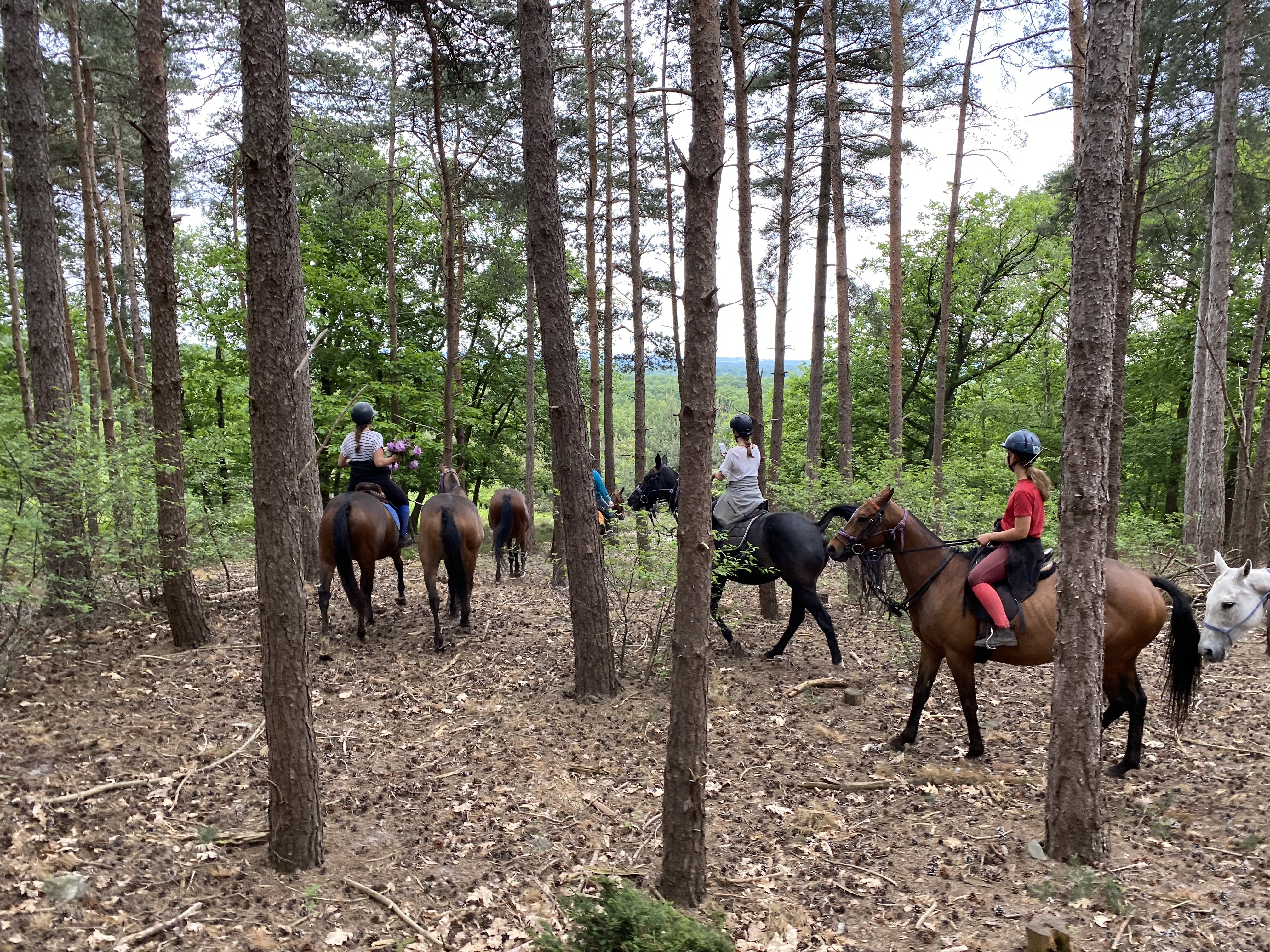 Balades à cheval à Chantilly