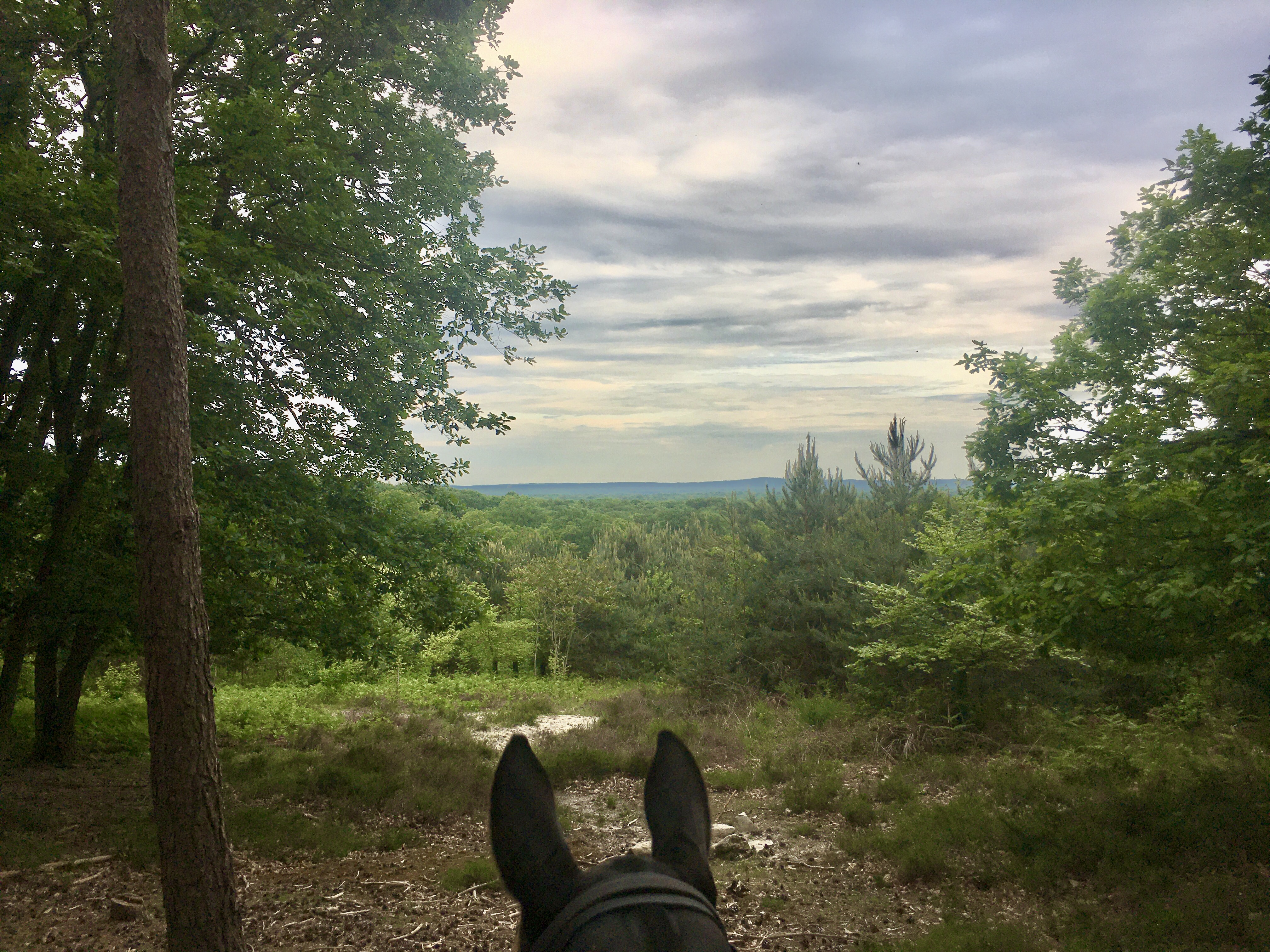 Balades à cheval à Chantilly