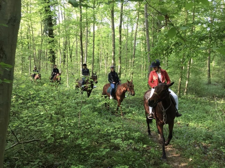 Balades à cheval à Chantilly