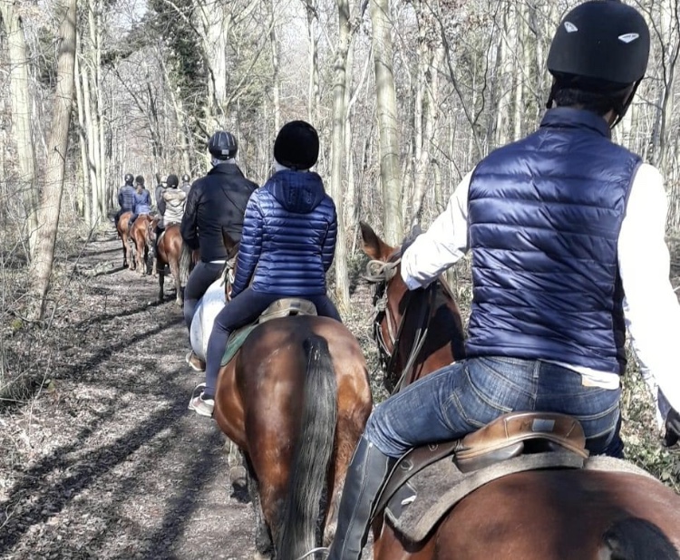 Balades à cheval à Chantilly